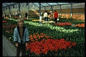 06.Keukenhof apr 1973 Peter